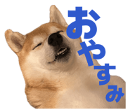 860419583