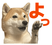 860419586