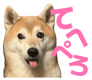 860419588