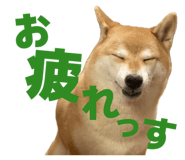 860419592