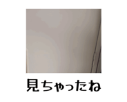 860421077