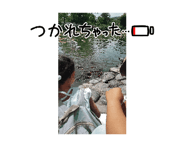 860444402