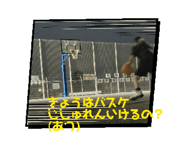 860444404