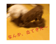 860444540