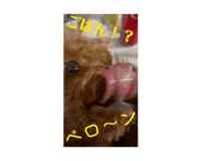 860444551