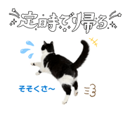 860451145