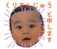 860475741