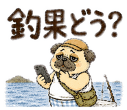 860510079