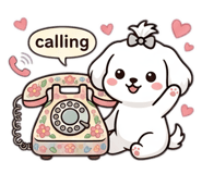 860510647