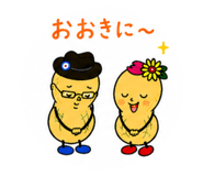 860511411