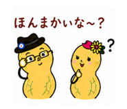860511420