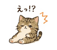 860511634