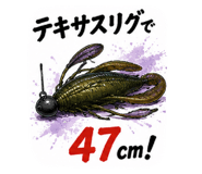 860514399