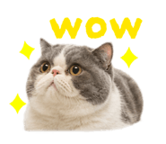 860514988