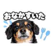 860515210