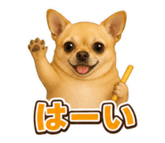 860518560