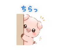 860518781