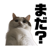 860522037