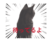 860550380
