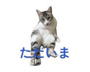 860550386
