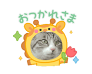 860550387