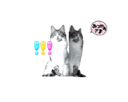 860550389