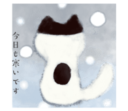860552540