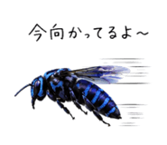 860554213