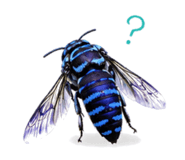 860554218