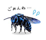 860554219