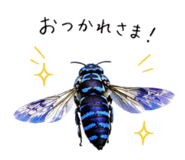 860554222