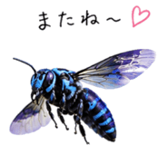 860554223