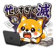 860555056