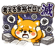 860555057