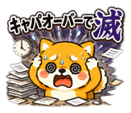 860555058