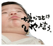 860650491