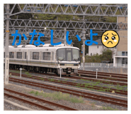 860651077
