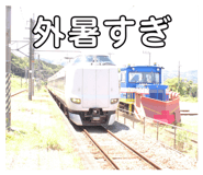 860651079