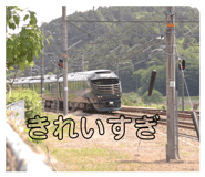 860651081