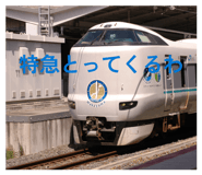 860651083