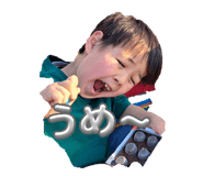 860651113