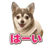 860651260