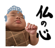 860652156