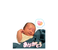 860652804