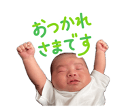 860652805
