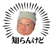 860652808