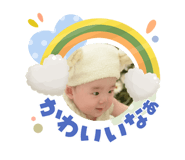 860653211