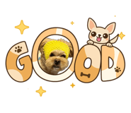 860653294