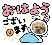 860653301
