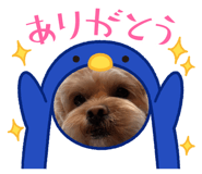 860653304